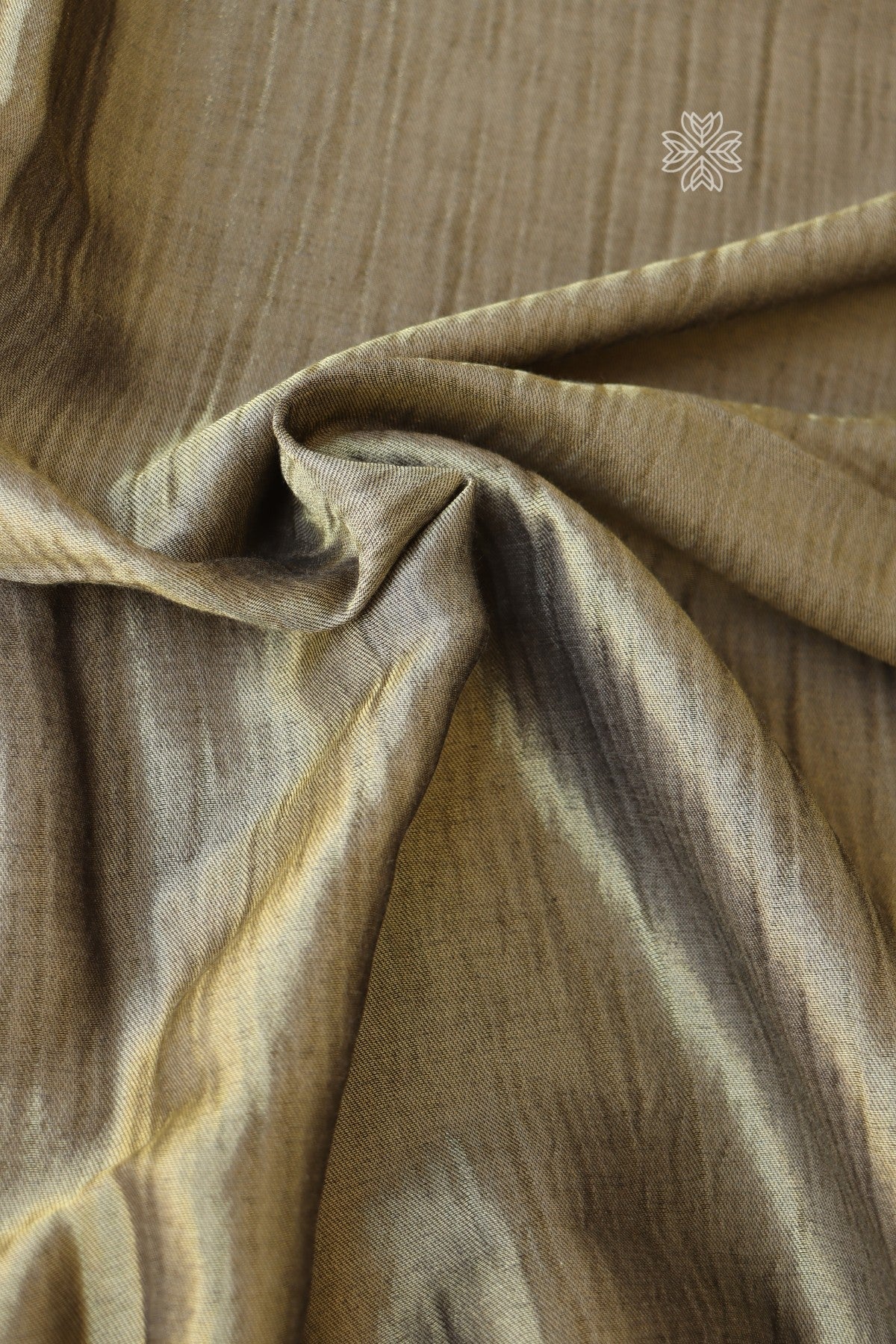 Antique Gold Zari and Beige Kani Fine Wool Shawl