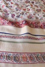 Kani Organza Saree with zari