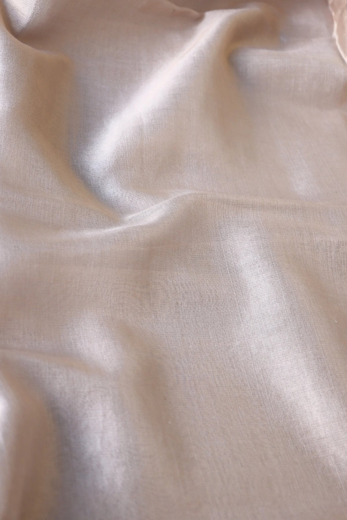 Beige Gold Tissue Silk Saree