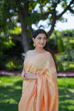 Yellow Kani Chanderi Silk Saree