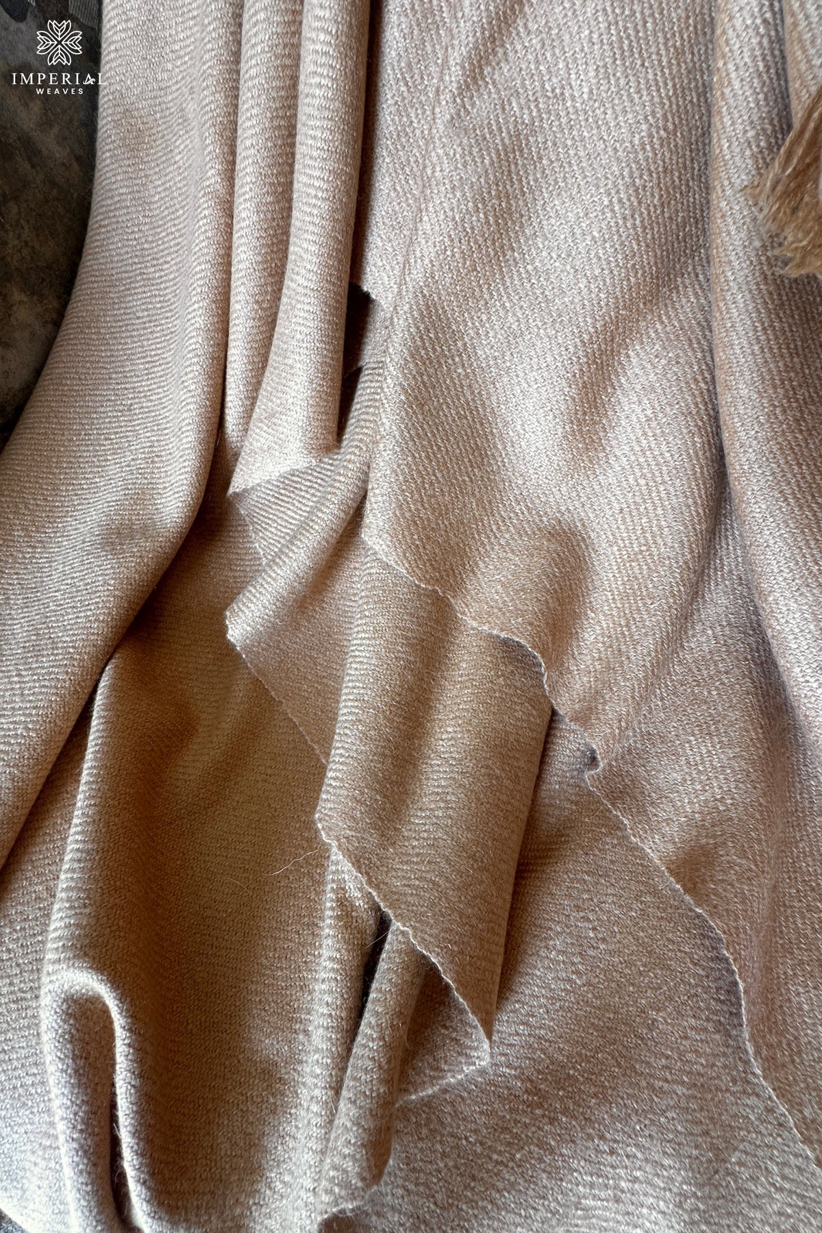 Beige Pashmina Throw / Blanket